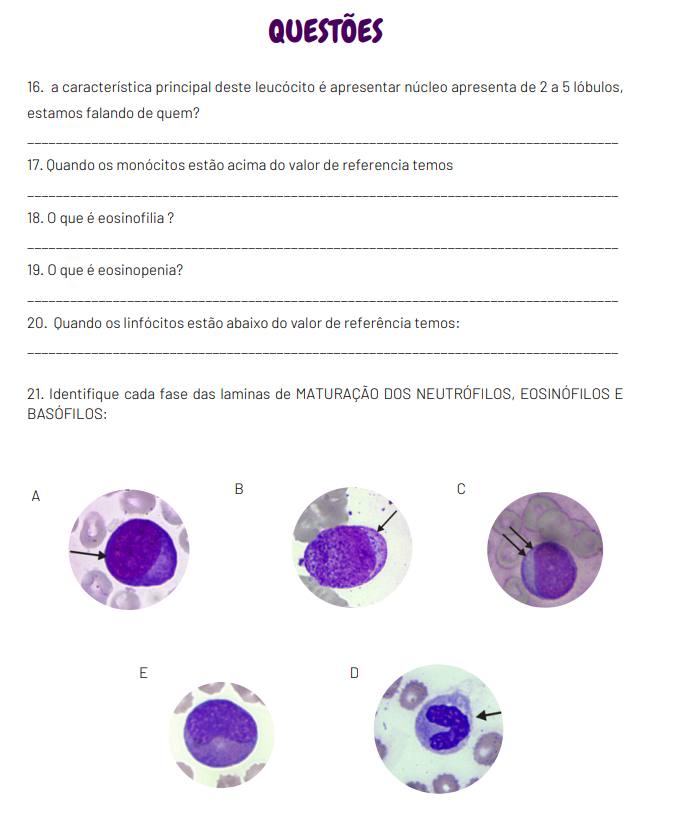Prévia do material 2